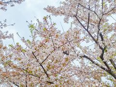 -龙美术馆(西岸馆)