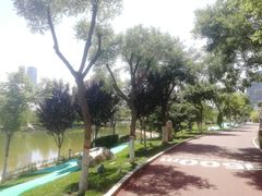 -雁滩公园
