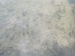-靖西鹅泉风景区