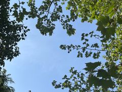 -洛阳郁金香牡丹园