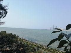 -万绿园