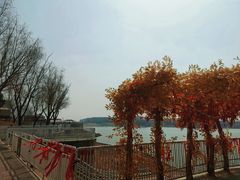 -青龙湖公园