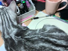 -美联众合动物医院·24h京西诊疗中心