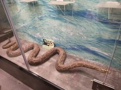 -下渚湖国家湿地公园科普馆