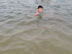 -碧海金沙