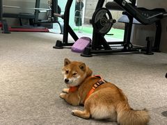 -mYSTEPS健身运动馆(古北店)