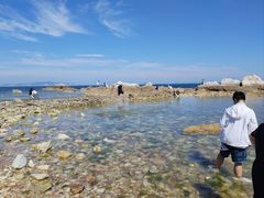 -养马岛旅游度假区