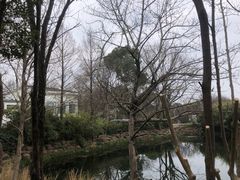 -西溪国家湿地公园