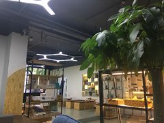 -木及咖啡