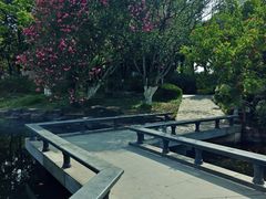 -昆山城市公园
