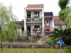 -龙大花卉苗木市场