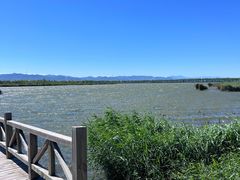 -野鸭湖国家湿地公园