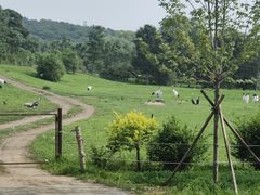 -沈阳森林动物园