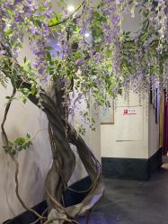 -盘子女人坊古装写真摄影(深圳店)