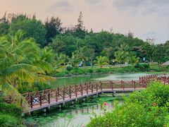 -沙美村