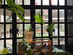 -一尺花园(安和花园店)