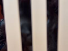 -瑞派宠物医院·24h·骨外科·皮肤科·全科宠物医疗转诊中心(沈阳浑南院)