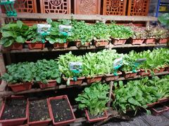 -和院老火锅铜锅烧烤海鲜(朱雀大街店)
