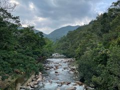 -海南热带雨林国家公园吊罗山景区