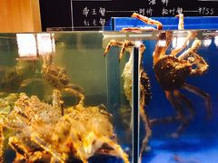 -綱元·海鲜豆捞(明州里店)