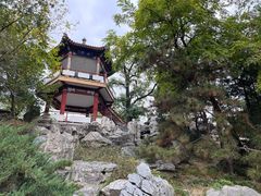 -莲花池公园
