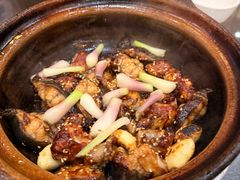-红星光发煲仔饭(文海店)