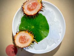 -梧桐舍那(梧桐山店)