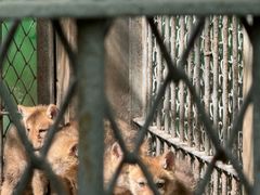 -西安秦岭野生动物园