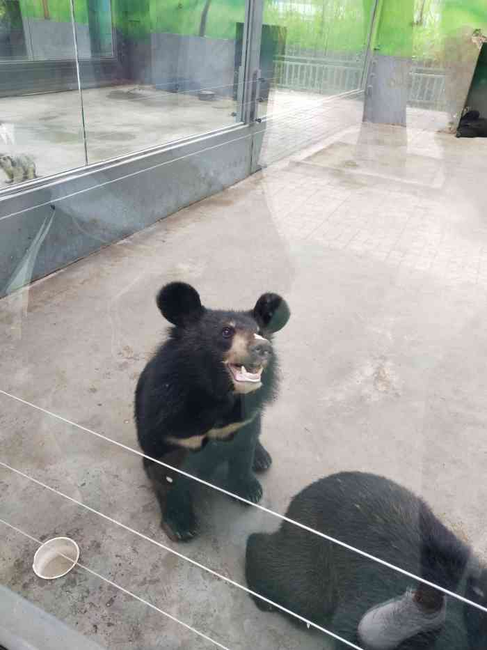 盘锦市动物园"湖滨公园的动物园改造之后真是很棒啊,带小.