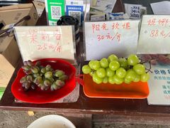 -马陆小张葡萄园农家乐