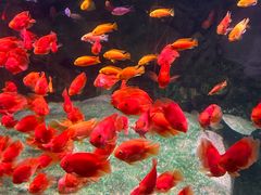 -常州海昌海洋探索馆