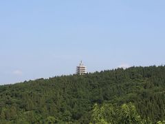 -原山国家森林公园