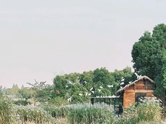 -良渚古城遗址公园