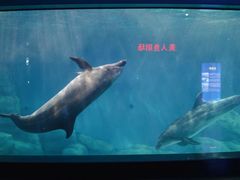 -福州罗源湾海洋世界旅游区