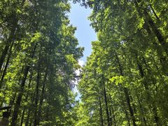 -山王坪喀斯特国家生态公园
