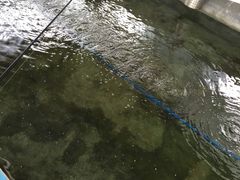 -小象钓虾·营地烧烤(洛溪店)