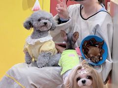 -和它·交个朋友·狗咖猫咖(爱琴海店)