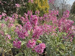 -上海植物园-4号门售票处