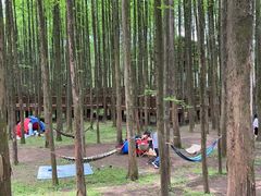 -山王坪喀斯特国家生态公园