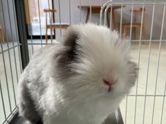 -小意思咖啡店(草桥店)