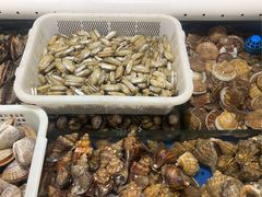 -喜来酌海鲜·饺子(和平一店)