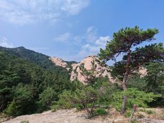 -九龙池景区