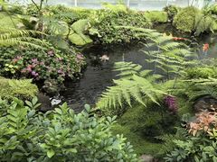 -罗红摄影艺术馆