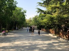 -迎泽公园