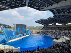 -上海海昌海洋公园