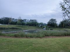 -两河城市森林公园