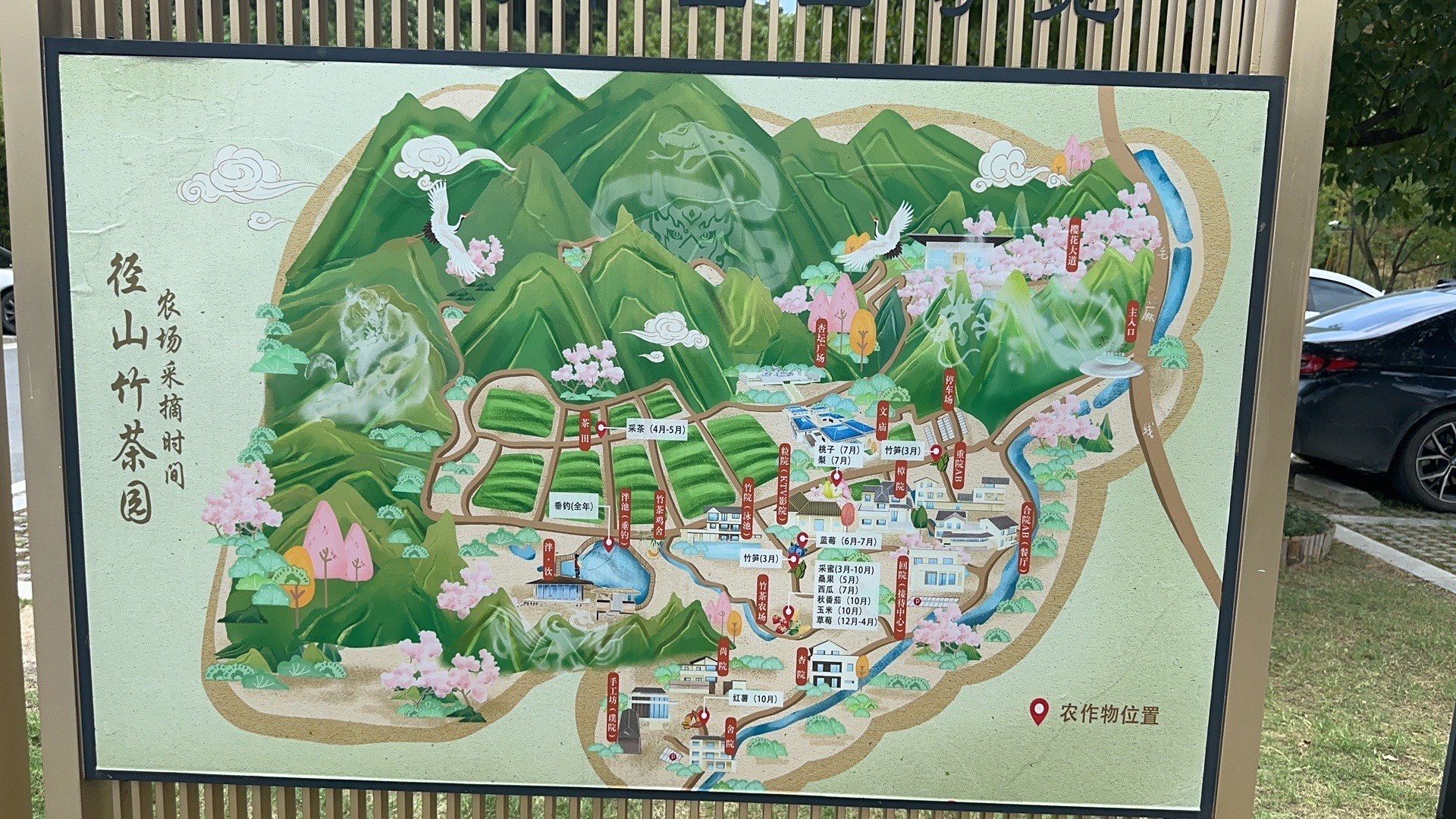 径山茶园