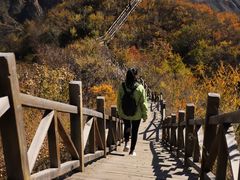 -大岭沟猕猴桃谷风景区