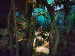 -国家自然博物馆