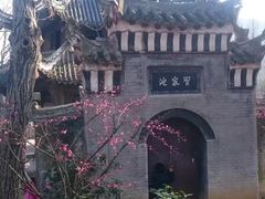 -习家池